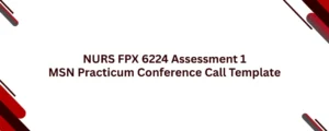 NURS FPX 6224 Assessment 1 MSN Practicum Conference Call Template