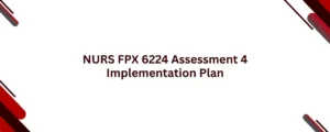 NURS FPX 6224 Assessment 4 Implementation Plan